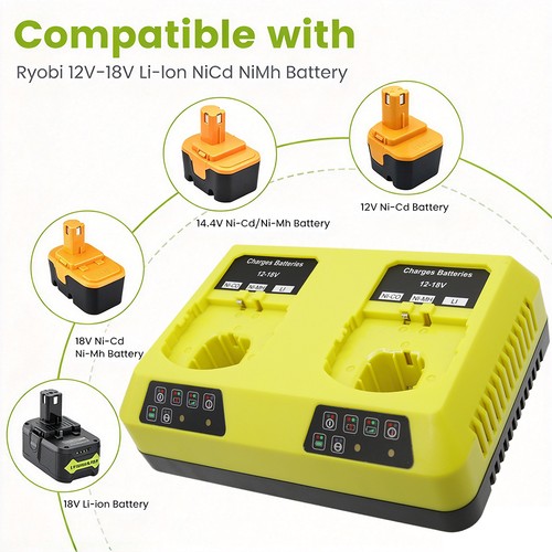 Fast dual battery charger for - dual,